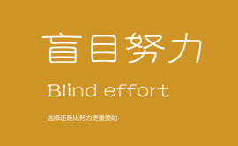 我不反對努力，但我反對盲目的努力